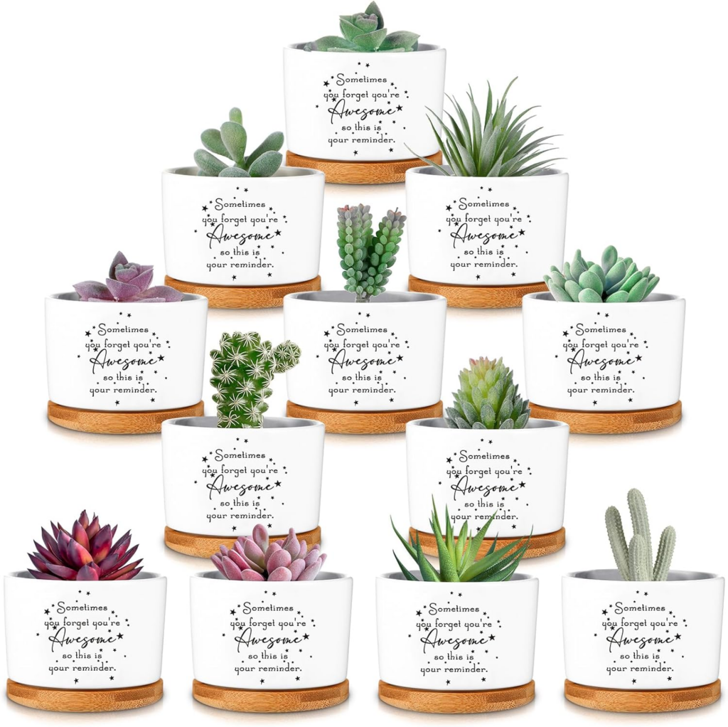 Farewall Gift Plants