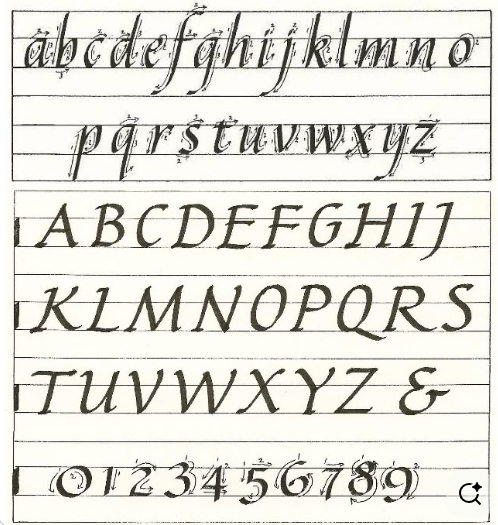 Copperplate vs Italic Calligraphy: Which Style Should You Learn First?