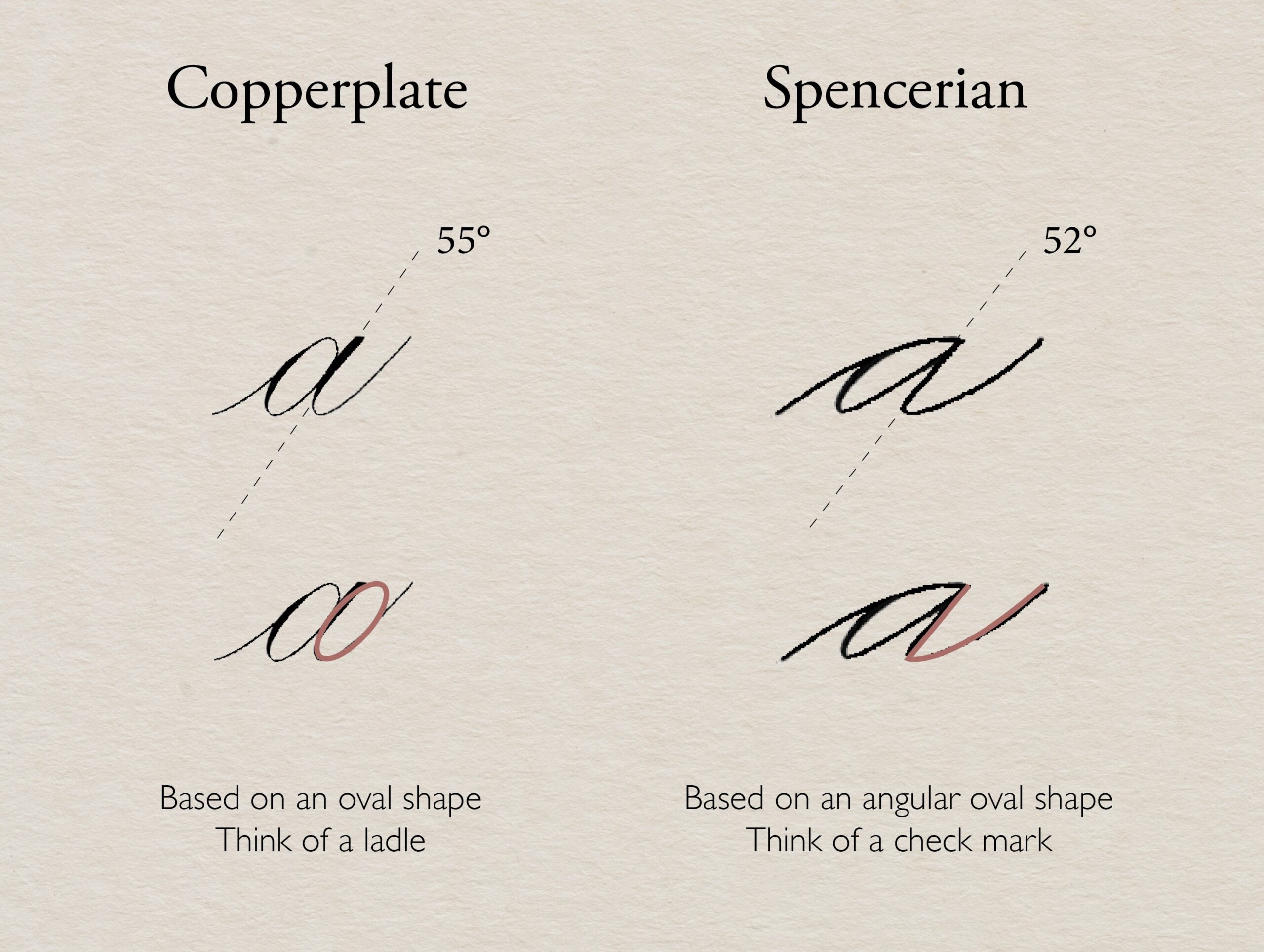Spencerian vs Copperplate Calligraphy: Which Script Is Right for You?